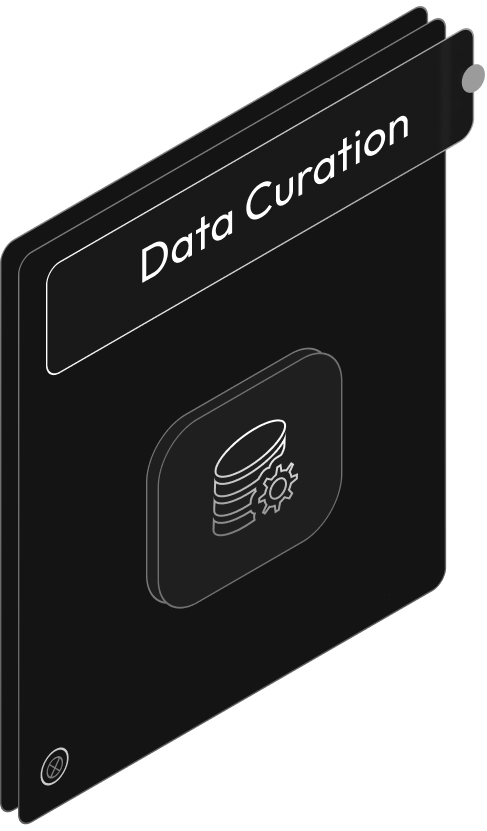 Data Curation